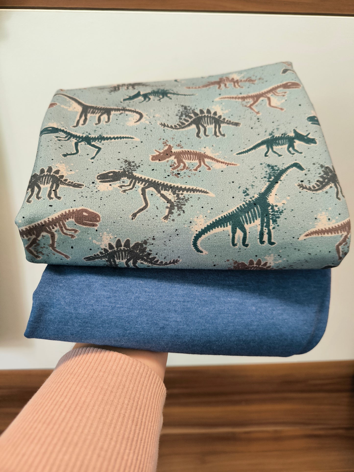 Dino Fossil mit Blauen French Terry