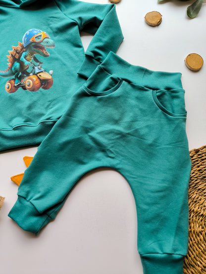 Dino Hoodie & Pumphosen Set gr. 74 - 140